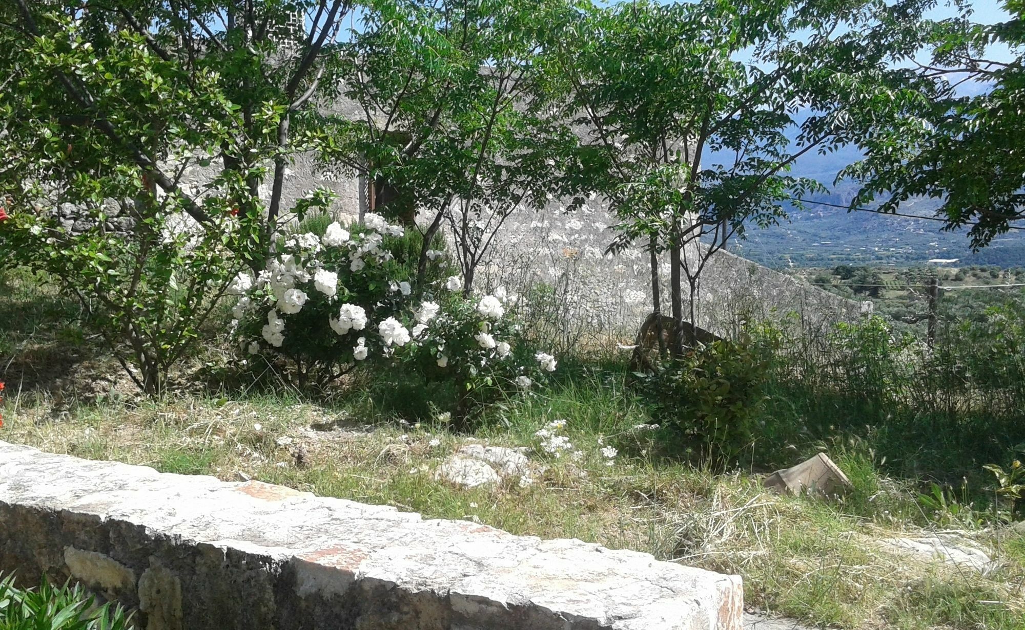 Petra & Elia Villa Megala Chorafia Dış mekan fotoğraf